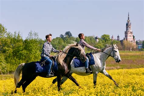 прогулка на лошадях